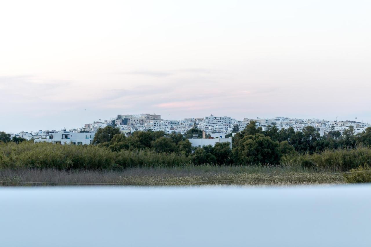 Isalos Villas Naxos Naxos City Dış mekan fotoğraf